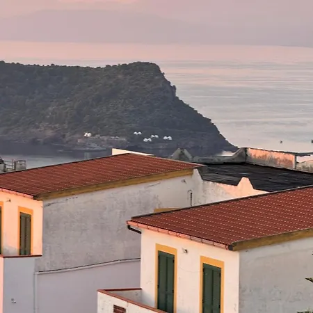 Pura Vida - Arcomagno - 4*