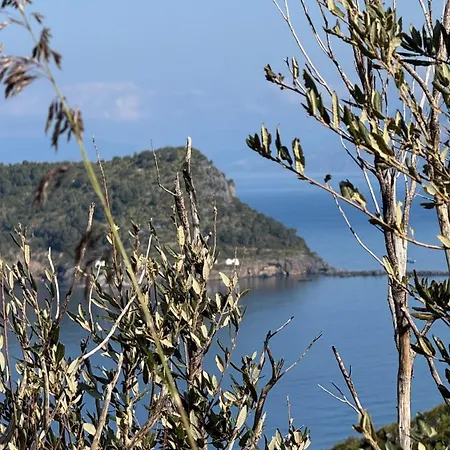 Pura Vida - Arcomagno - Bed and breakfast San Nicola Arcella