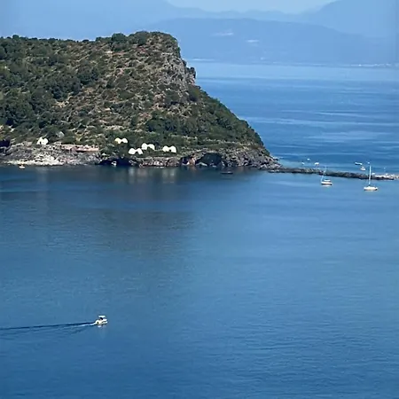 Pura Vida - Arcomagno - San Nicola Arcella