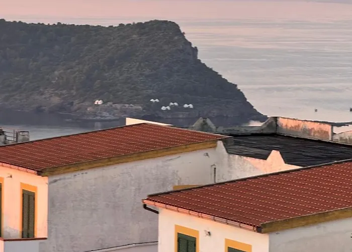 Pura Vida - Arcomagno - 4*