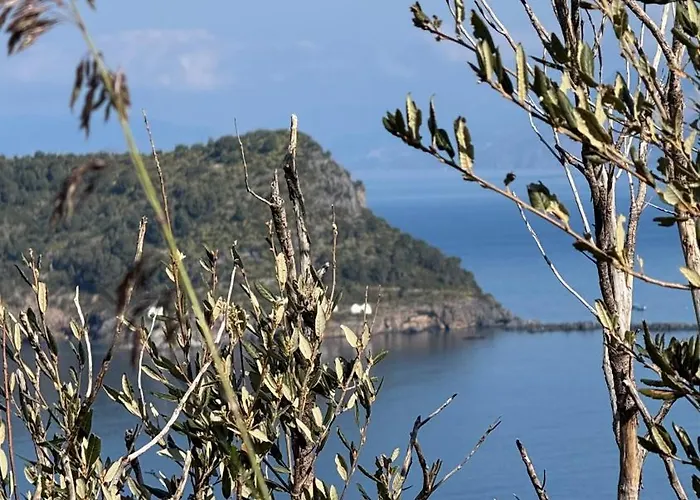 Pura Vida - Arcomagno - Bed & Breakfast San Nicola Arcella