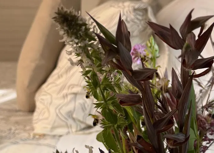 Pura Vida - Arcomagno - 4*