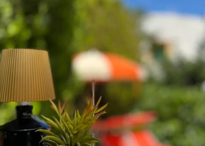 Pura Vida - Arcomagno -